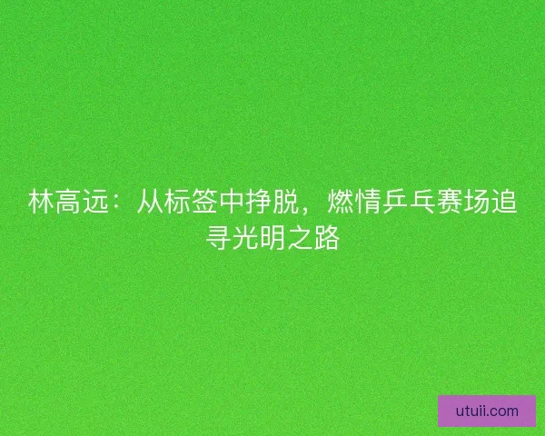 林高远:从标签中挣脱,燃情乒乓赛场追寻光明之路 林高远:从标签中挣脱,燃情乒乓赛场追寻光明之路